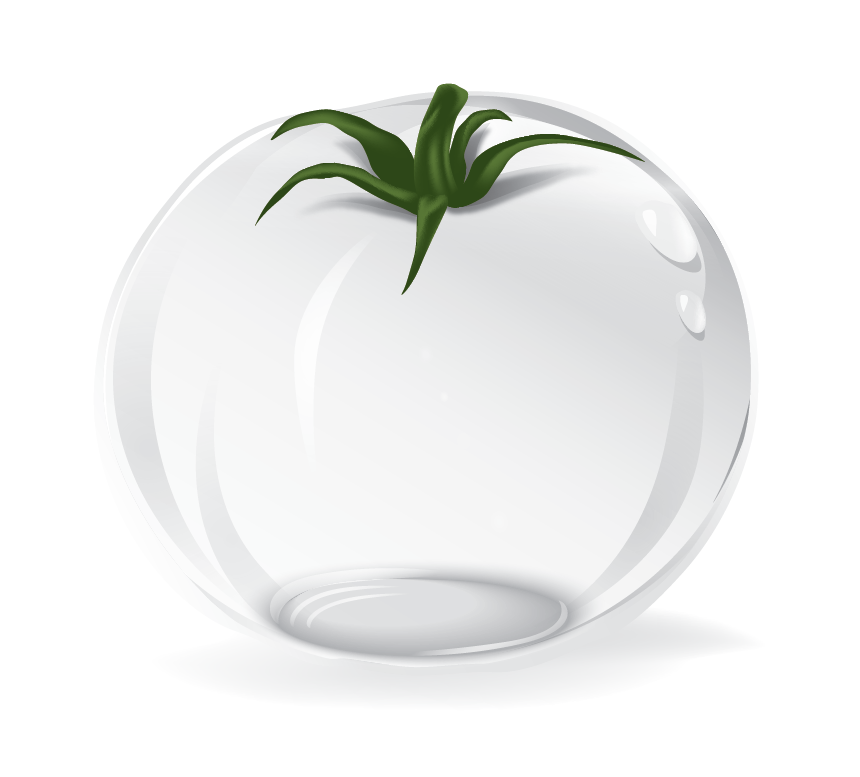 オーストラリア発「白トマト」成分 配合化粧品が代理店を募集 10 Luminous White 25139 Hivita LW Tomato 1