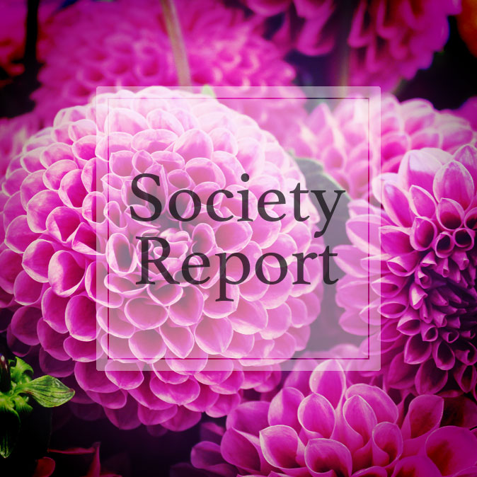 「えっ、映画化?」リラクゼーション業協会の驚くべき発表! 10 column news societyreport top 01