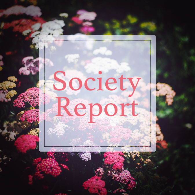 column news societyreport top 23
