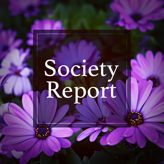 ヘアメイクショーからサロンの効果発表まで!スパ・ウエルネス学術会議レポート 6 column news societyreport top 25