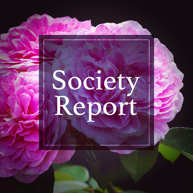 役員改選も!全日本全身美容業協同組合が 第23回通常総会 を開催 2 column news societyreport top 26
