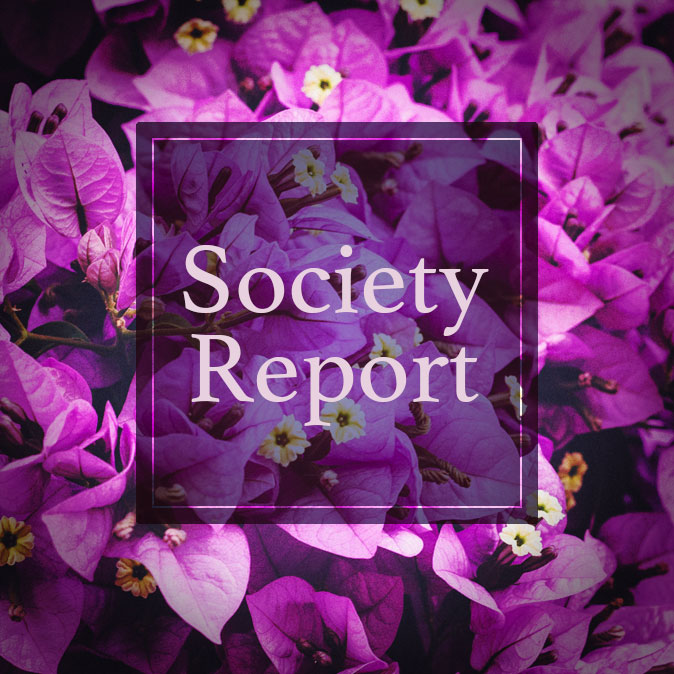 AEA定時社員総会 で経済産業省特別公演や新理事・監事を発表 8 column news societyreport top 28