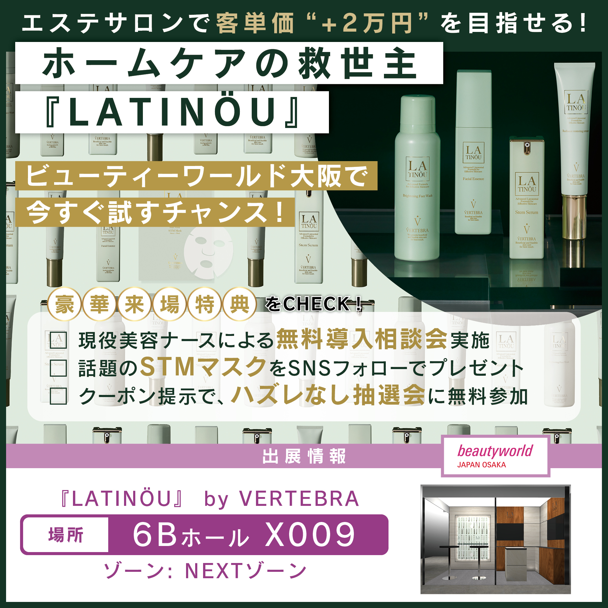 特集記事 1 VERTEBRA insta 1 1 t1 1