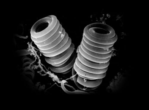 fcd3aac8665a4ea5bb0b28e1069e5ecd