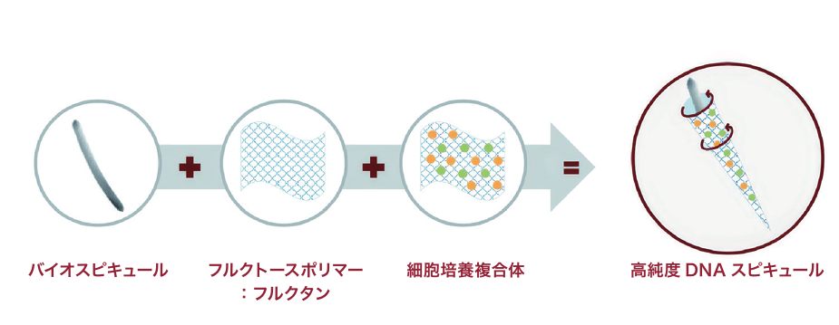 Cellcubating Complexの解説画像