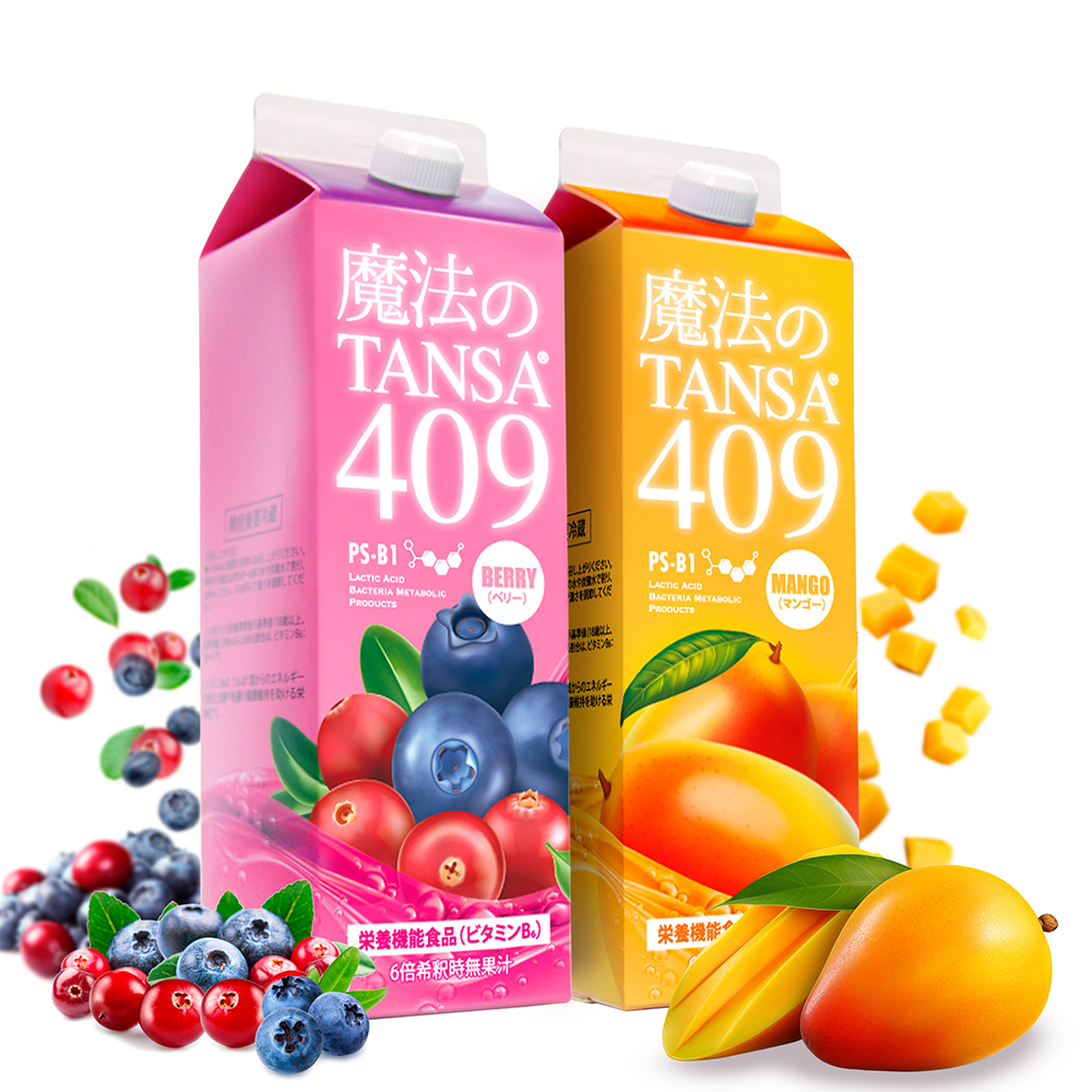 魔法のTANSA 409