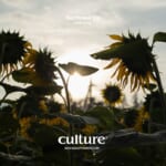 【リリース】OSAJI、8年越しの原料自給プロジェクトから初の商品が誕生。「culture サンフラワーヘアオイル」2026年10月28日（水）より1,000本限定発売。 by PR TIMES
